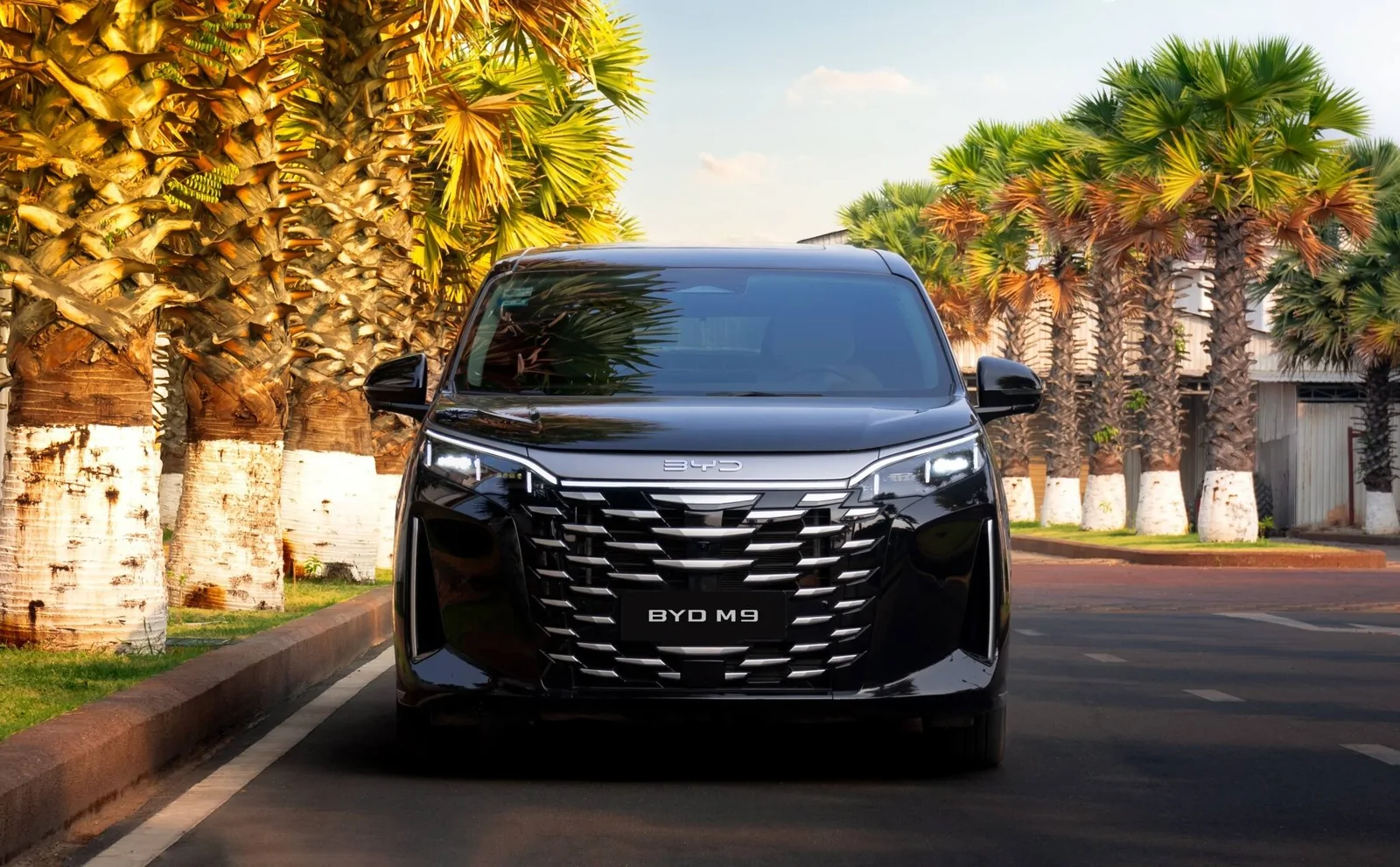BYD M9 — 2
